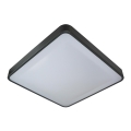 Stropna svetilka WILTON 2xE27/60W/230V 37,5x37,5 cm črna