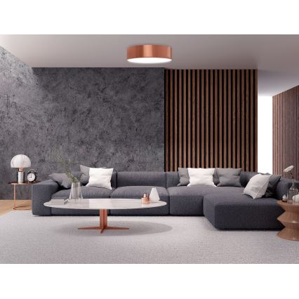 Stropna svetilka CLEO s senzorjem gibanja in senzorjem somraka 2xE27/24W/230V, premer 30 cm, bakrena