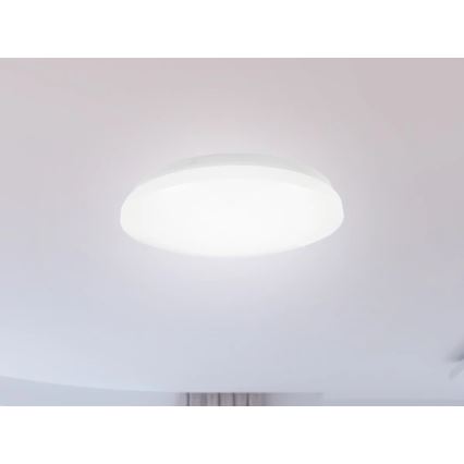 Stropna svetilka za kopalnico OPAL LED/12W/230V, premer 24,5 cm, IP44, bela