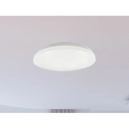 Stropna svetilka za kopalnico OPAL LED/12W/230V, premer 24,5 cm, IP44, bela