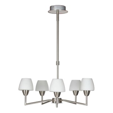 Stropni lestenec na drogu TOGO 5xG9/40W/230V matni krom/bela
