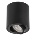 Stropni reflektor BORD ONE 1xGU10/10W/230V, črn