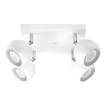 Stropni reflektor OCULARE 4xGU10/10W/230V