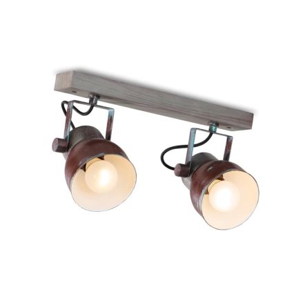 Stropni reflektor VIANA 2xE27/60W/230V