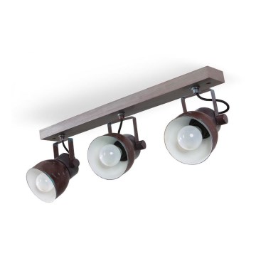 Stropni reflektor VIANA 3xE27/60W/230V
