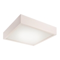 Stropno LED svetilo, 24 W, 230 V
