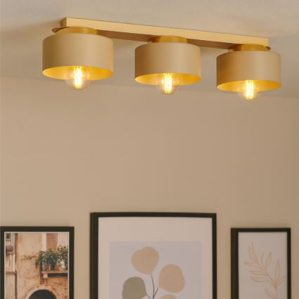 Stropno svetilo IGNIA 3xE27/60W/230V taupe