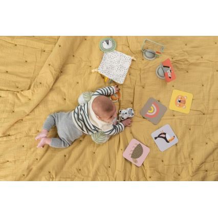 Taf Toys - Darilna škatla HELLO BABY