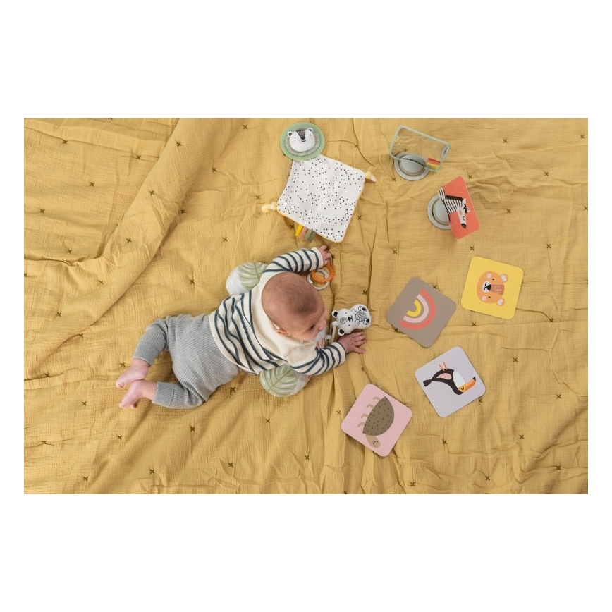 Taf Toys - Darilna škatla HELLO BABY