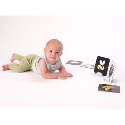 Taf Toys - Tummy time karte 18 kom.