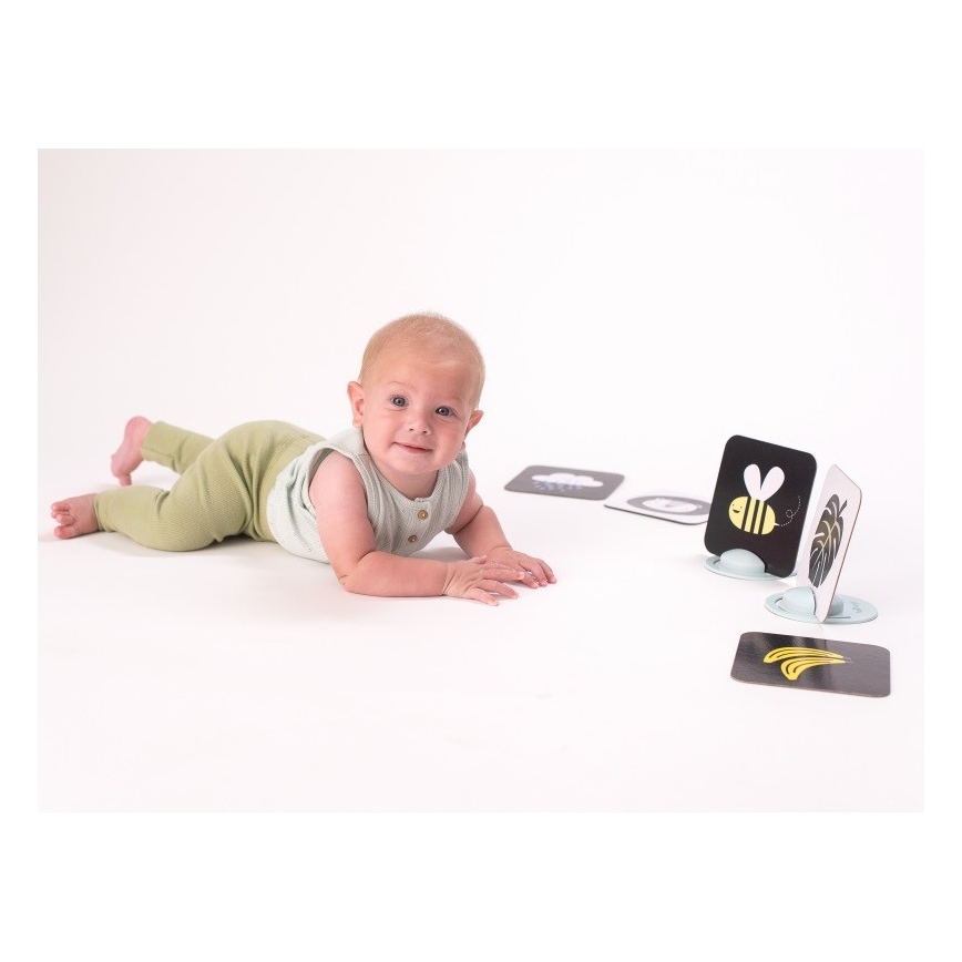 Taf Toys - Tummy time karte 18 kom.