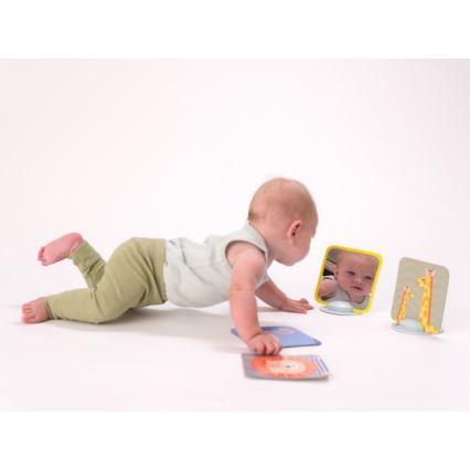 Taf Toys - Tummy time karte 18 kom.