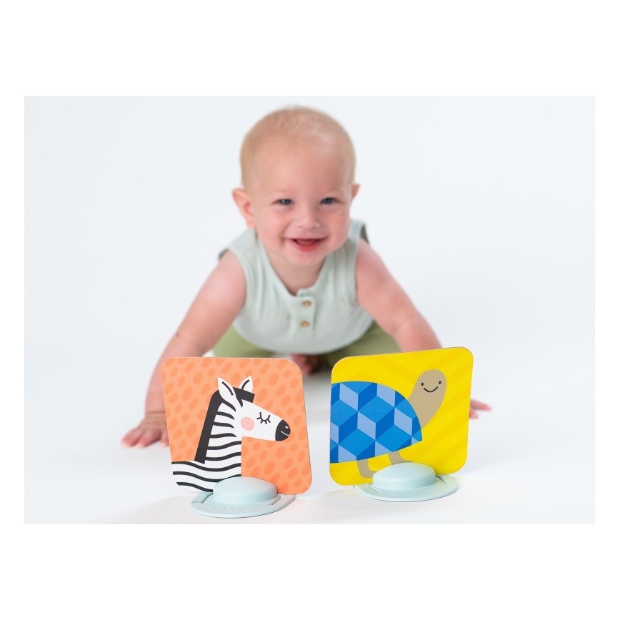 Taf Toys - Tummy time karte 18 kom.