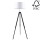 Talna svetilka TRIPOD 1xE27/60W/230V bukev - FSC certifikat