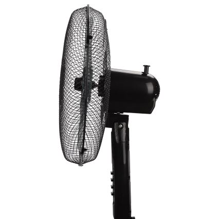 Taylor Swoden - Stojalni ventilator 50W/230V črn