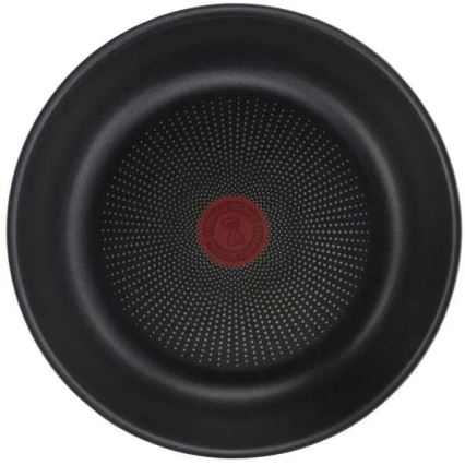 Tefal - 10-delni komplet posode INGENIO DAILY CHEF v bakreni barvi
