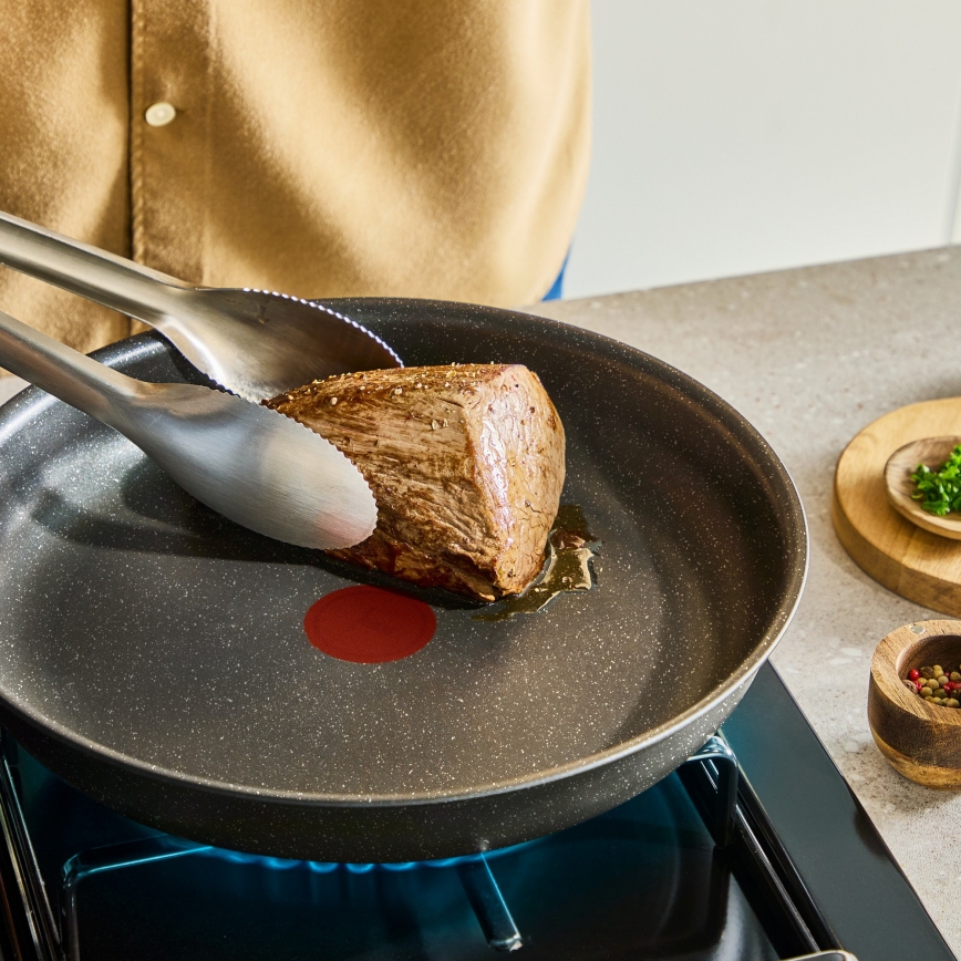 Tefal - 12-delni komplet posode INGENIO Expertise