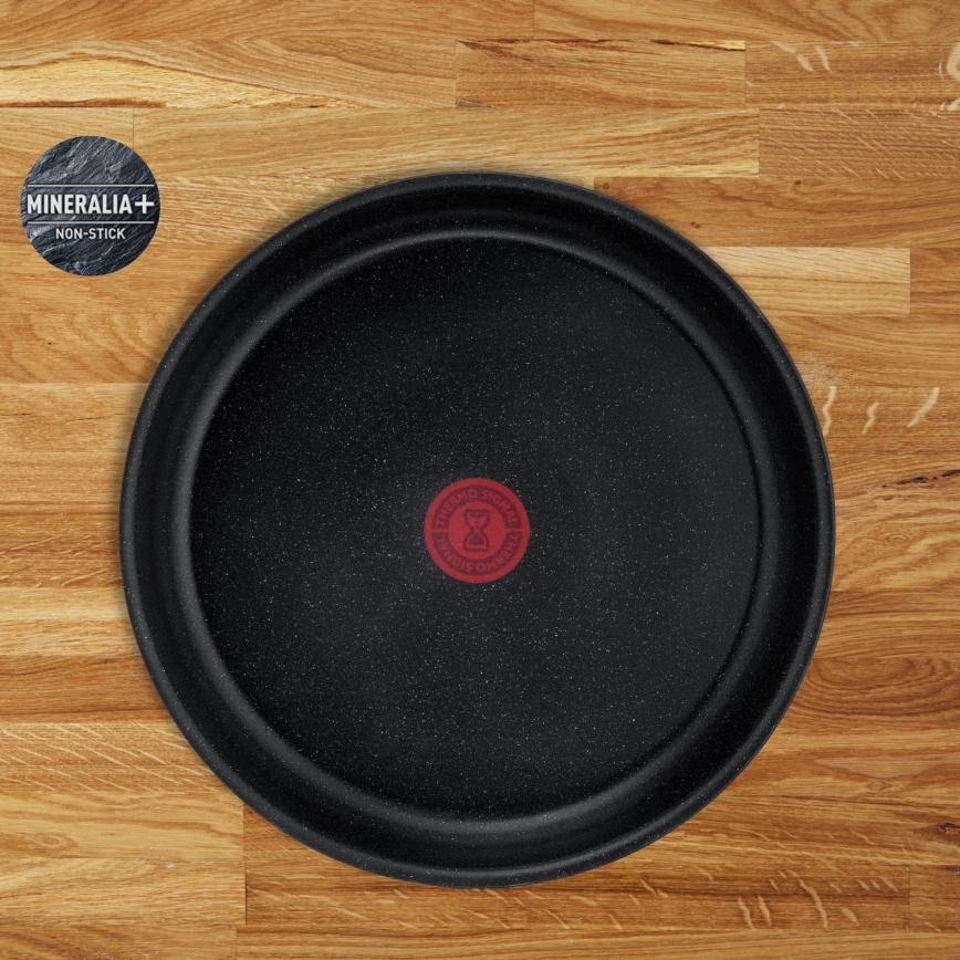 Tefal - 13-delni komplet posode INGENIO PERFECT COOK