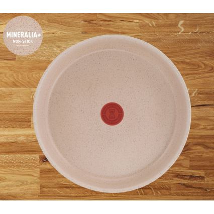 Tefal - 17-delni komplet posode INGENIO DELIGHT