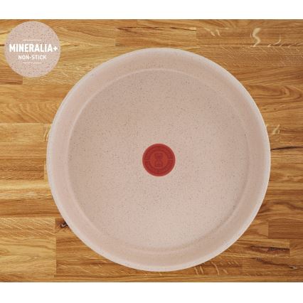 Tefal - 6-delni komplet posode INGENIO DELIGHT
