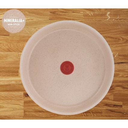 Tefal - 6-delni komplet posode INGENIO DELIGHT