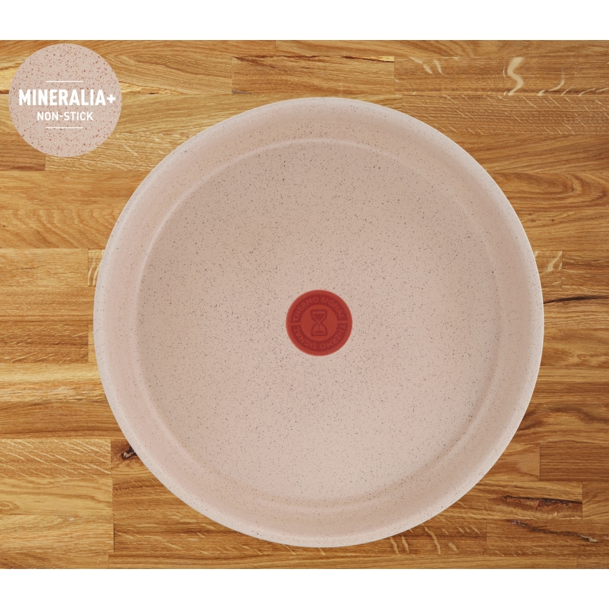 Tefal - 6-delni komplet posode INGENIO DELIGHT