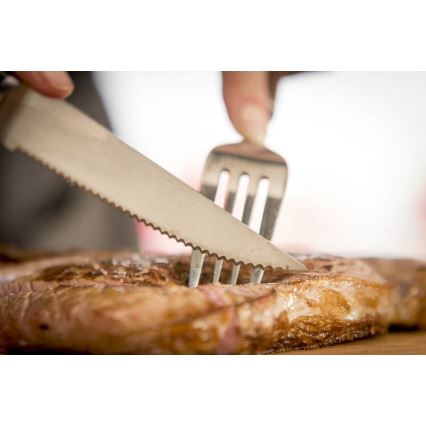 Tefal - 4-delni komplet nožev za steak ICE FORCE, iz nerjavečega jekla, 11 cm, sijajni krom/črna
