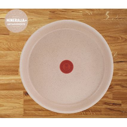 Tefal - Komplet treh ponev INGENIO DELIGHT