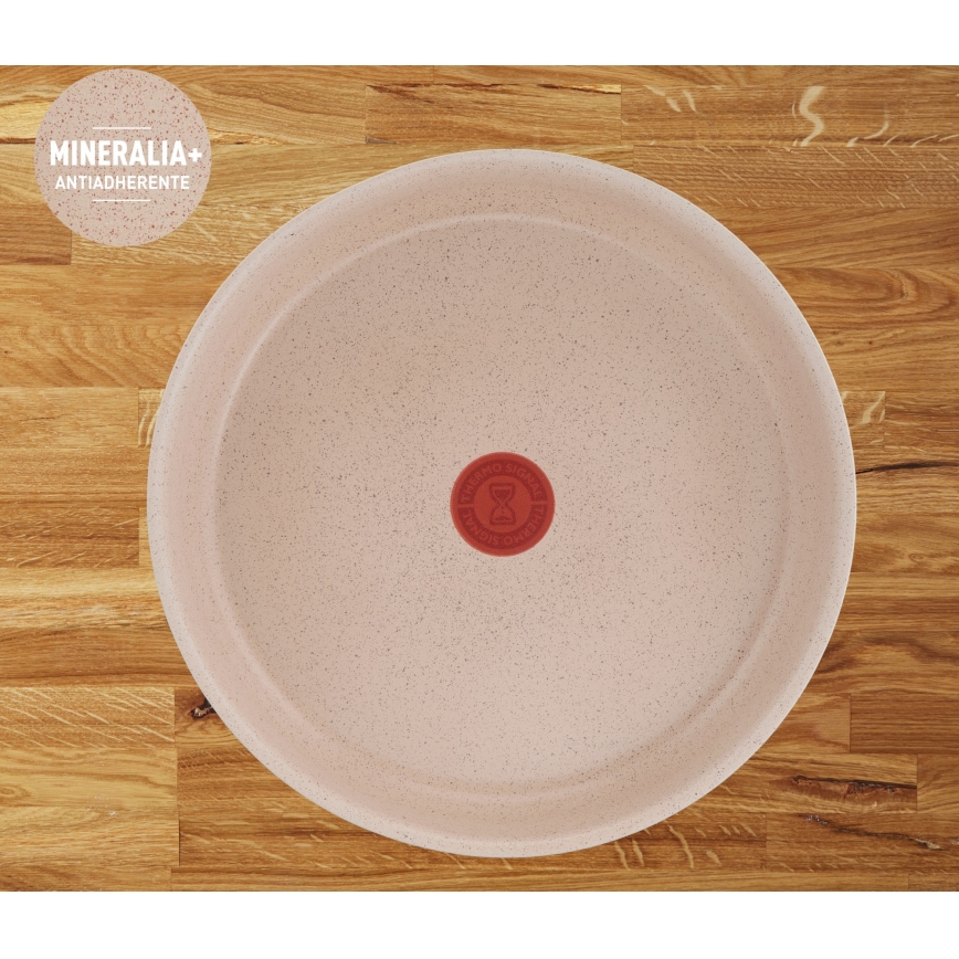 Tefal - Komplet treh ponev INGENIO DELIGHT