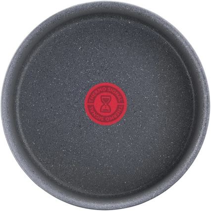 Tefal - Lonec INGENIO NATURAL FORCE 20 cm