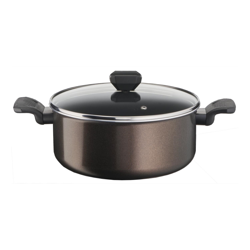 Tefal - Lonec s pokrovom EASY COOK&CLEAN 24 cm