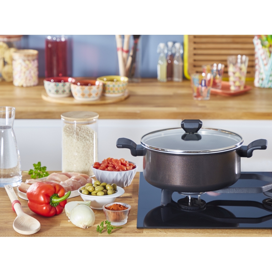Tefal - Lonec s pokrovom EASY COOK&CLEAN 24 cm