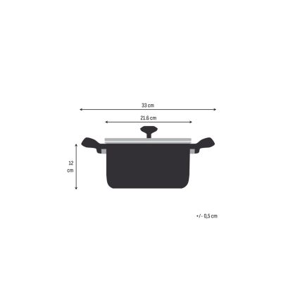 Tefal - Lonec s pokrovom EXTREME 20 cm