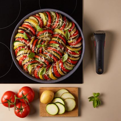Tefal - Ponev INGENIO NATURAL FORCE 24 cm