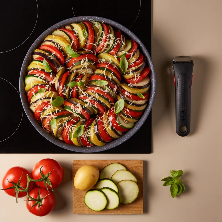 Tefal - Ponev INGENIO NATURAL FORCE 24 cm