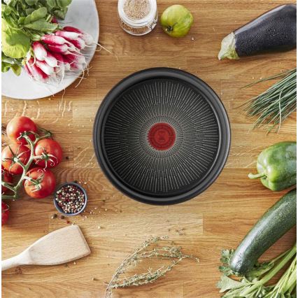Tefal - Ponev INGENIO Unlimited 24 cm