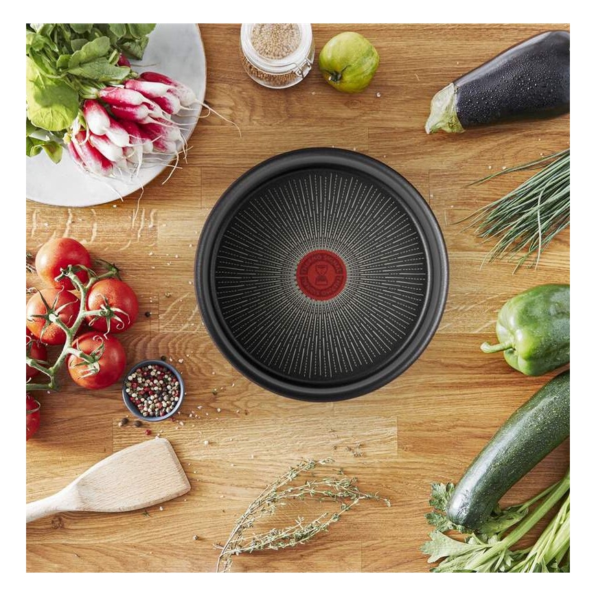 Tefal - Ponev INGENIO Unlimited 24 cm