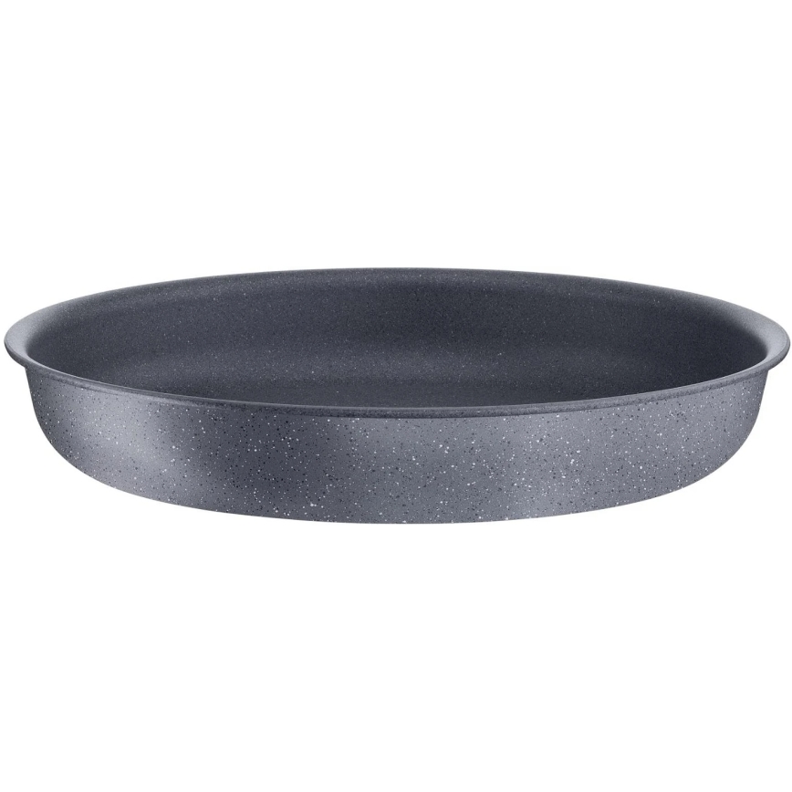 Tefal - Ponva INGENIO NATURAL FORCE 24 cm