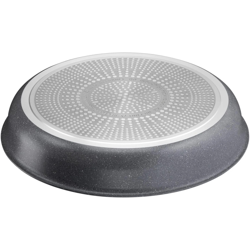 Tefal - Ponva INGENIO NATURAL FORCE 24 cm