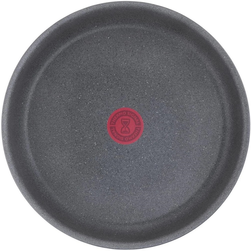Tefal - Ponva INGENIO NATURAL FORCE 24 cm