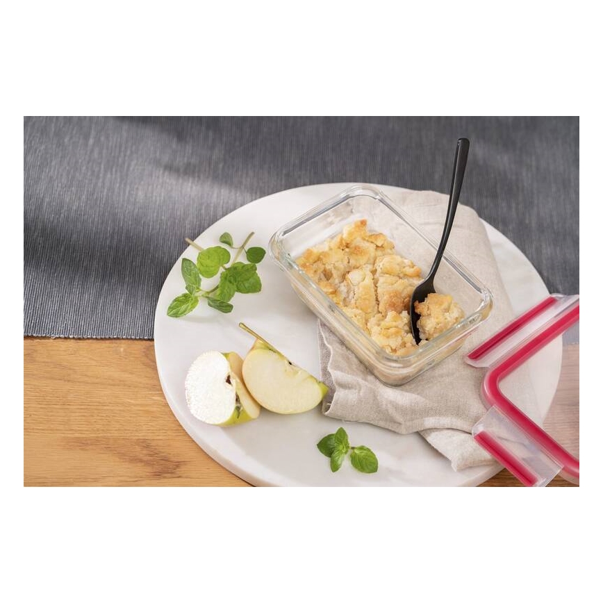Tefal - Posoda za hrano 0,45 l MSEAL GLASS rdeča/steklo