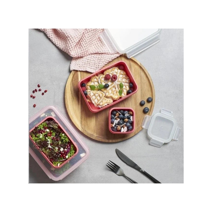 Tefal - Posoda za hrano 0,55 l MSEAL COLOR roza