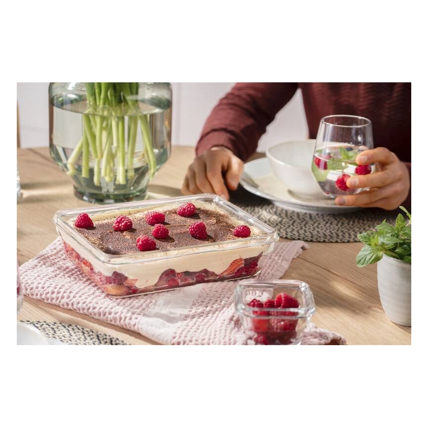 Tefal - Posoda za hrano 3 l MSEAL GLASS rdeča/steklo