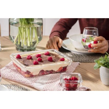 Tefal - Posoda za shranjevanje živil MSEAL GLASS, 3 l, rdeča/steklo