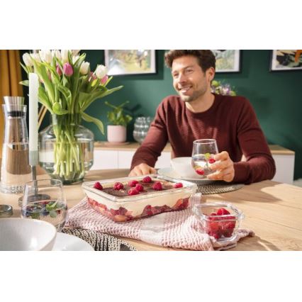 Tefal - Posoda za shranjevanje živil MSEAL GLASS, 3 l, rdeča/steklo
