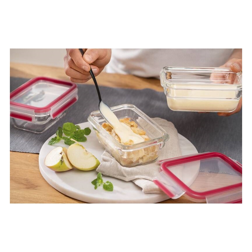 Tefal - Posoda za živila 0,45 l MSEAL GLASS rdeča/steklo