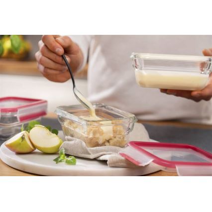 Tefal - Posoda za živila 0,45 l MSEAL GLASS rdeča/steklo