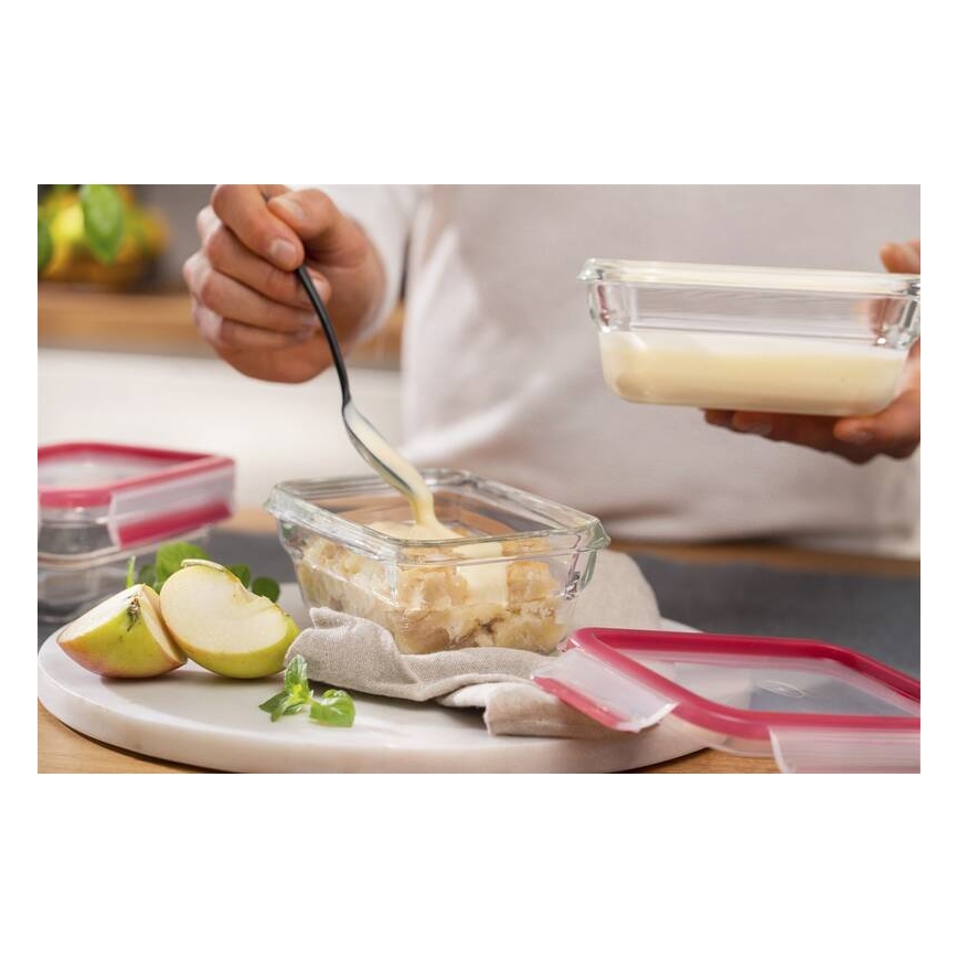 Tefal - Posoda za živila 0,45 l MSEAL GLASS rdeča/steklo