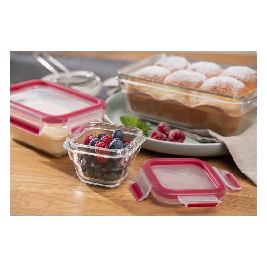 Tefal - Posoda za živila 0,45 l MSEAL GLASS rdeča/steklo