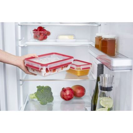 Tefal - Posoda za živila 0,85 l MSEAL GLASS rdeča/steklo